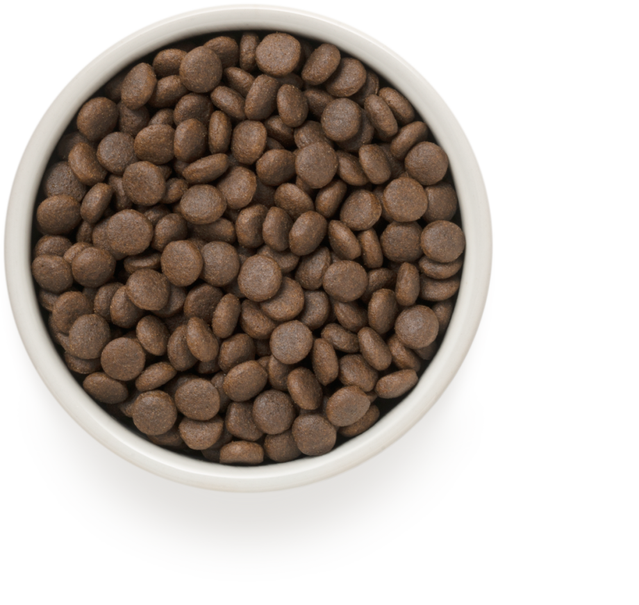 Grandorf 4 meat Brown