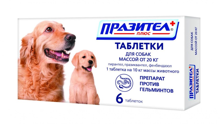Таблетки от глистов для собак Празител