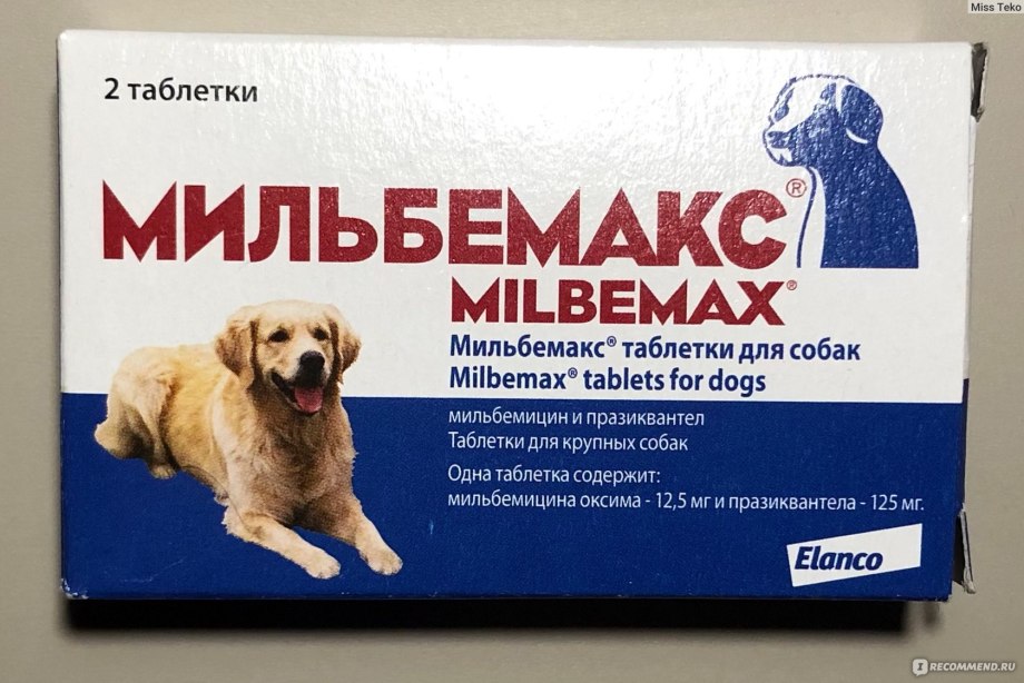 Мильбемакс фото