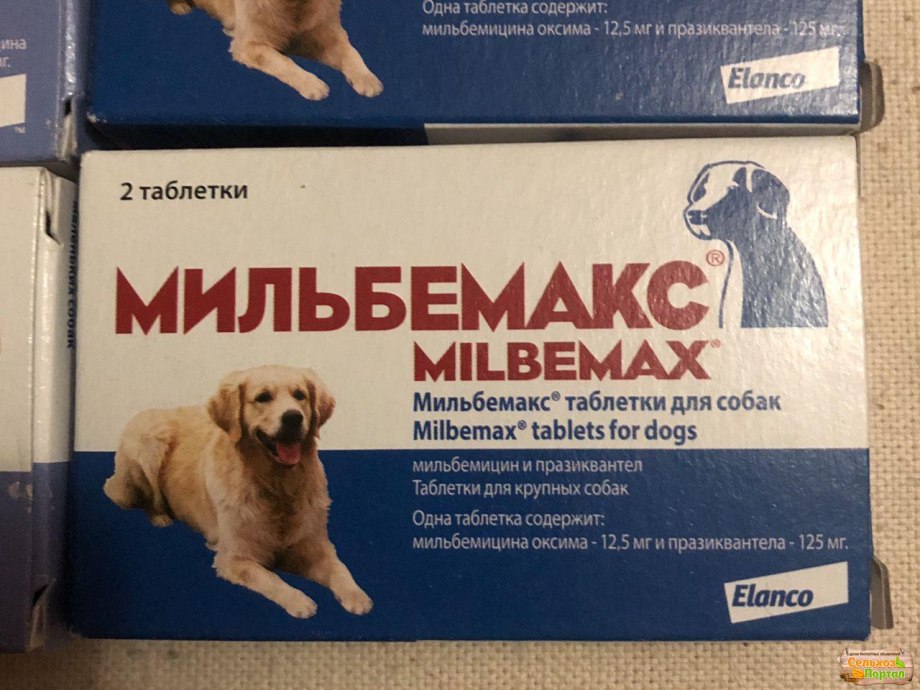 Euracon Pharma каниквантел плюс XL для собак и кошек