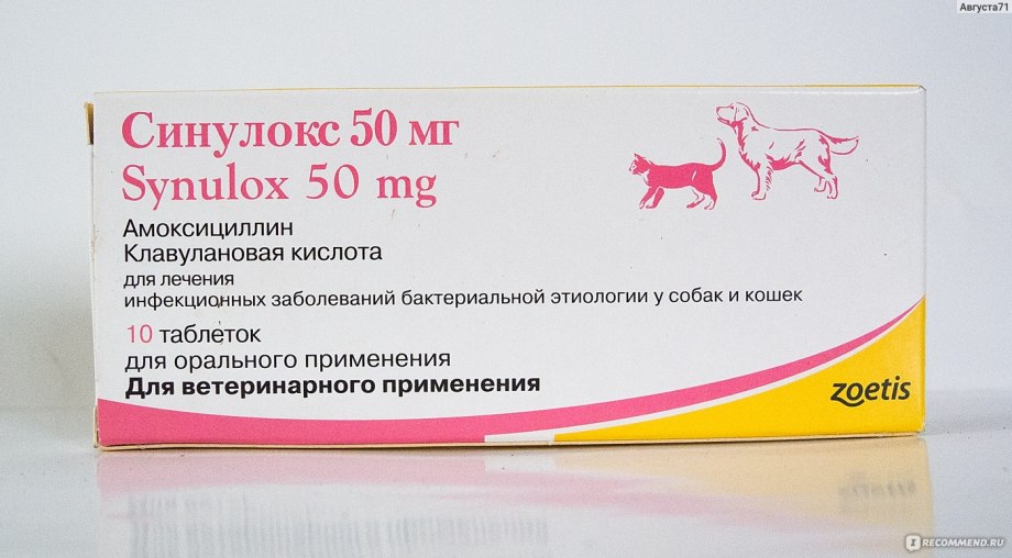 Синулокс 125 мг