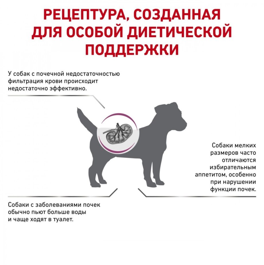 При почечной недостаточности собака