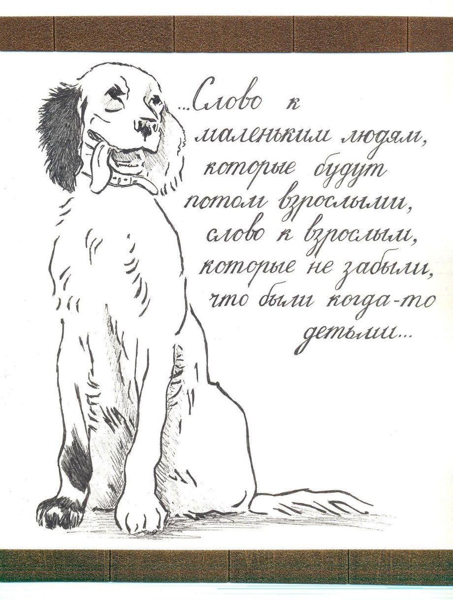 Собака ирландский сеттер