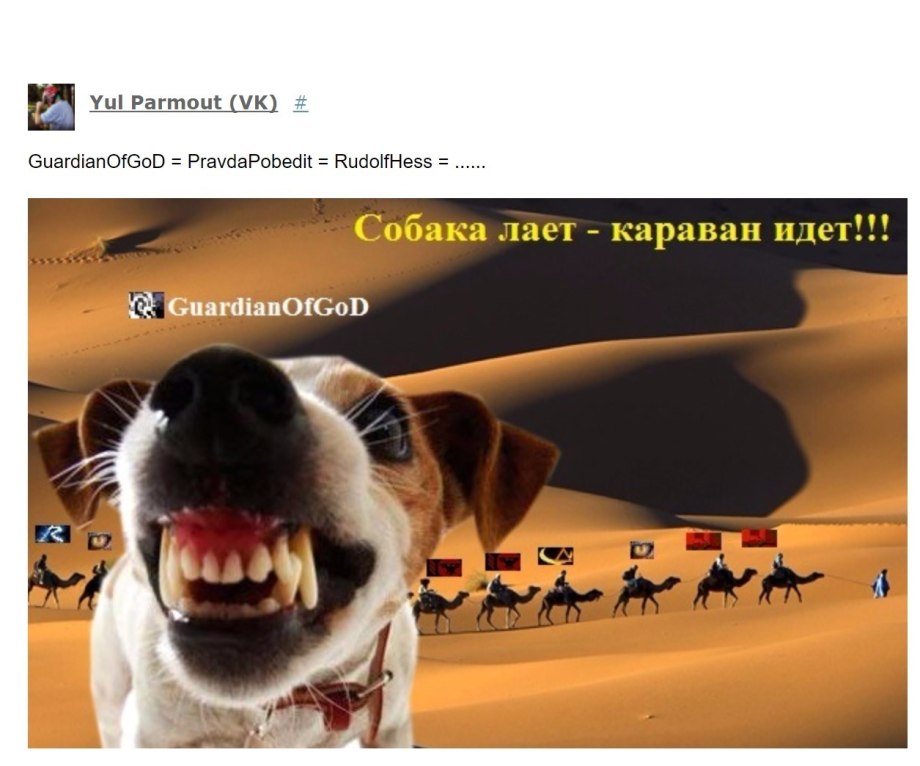 Почему собаки лают