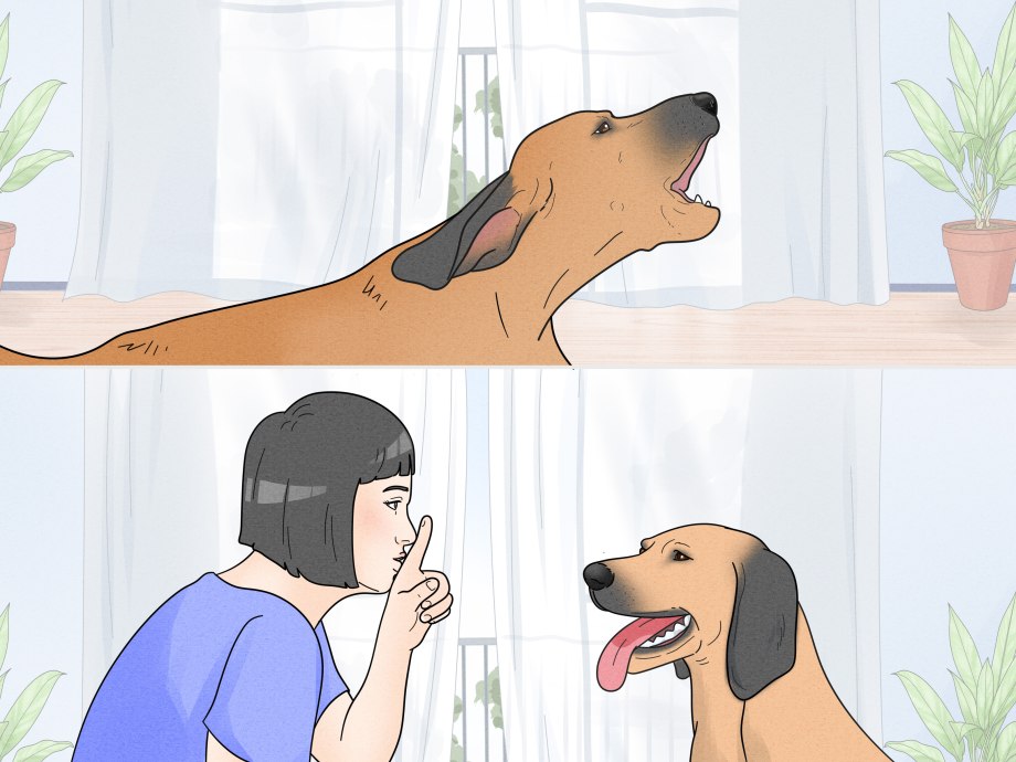 Собака дурачится