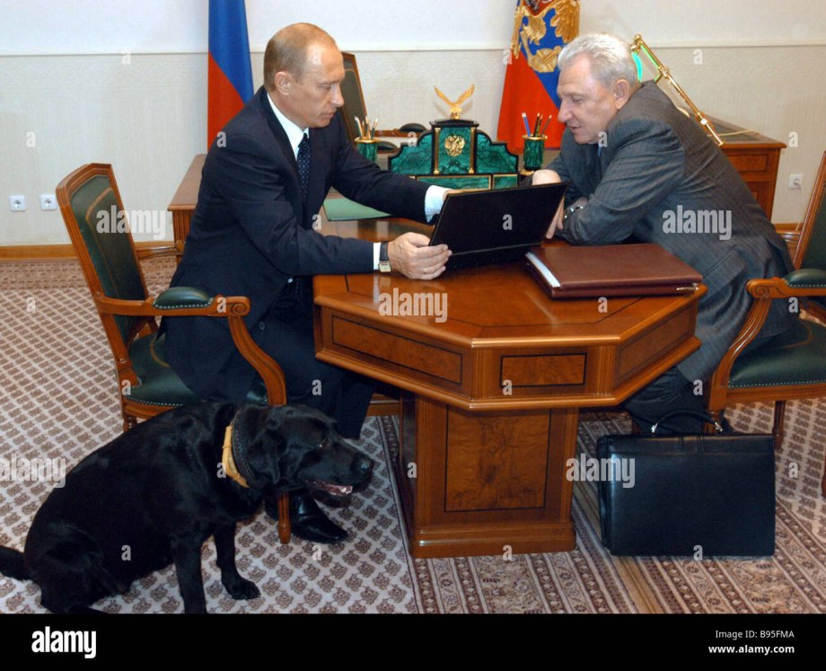Самка "лабрадор"