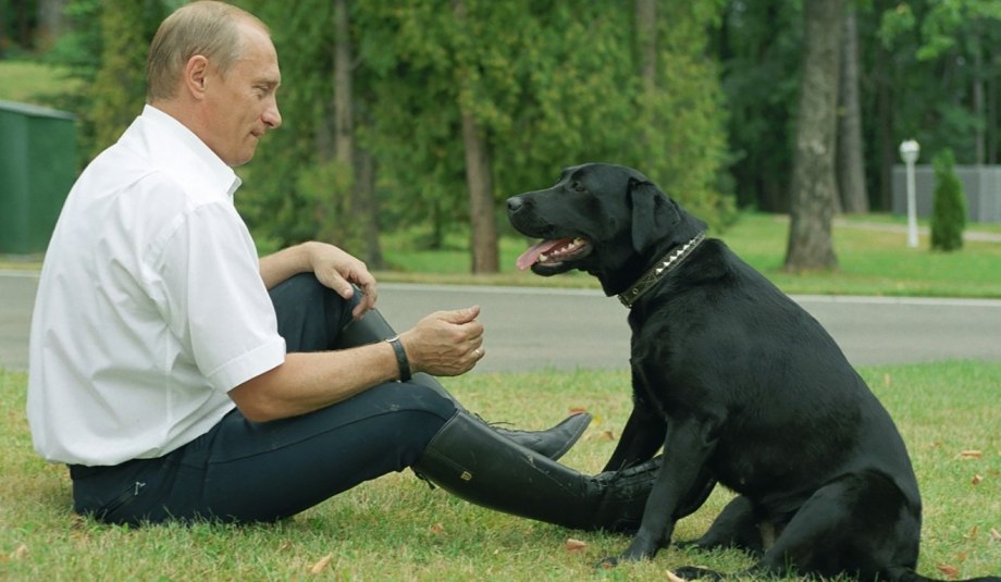 Конни Полгрейв памятник
