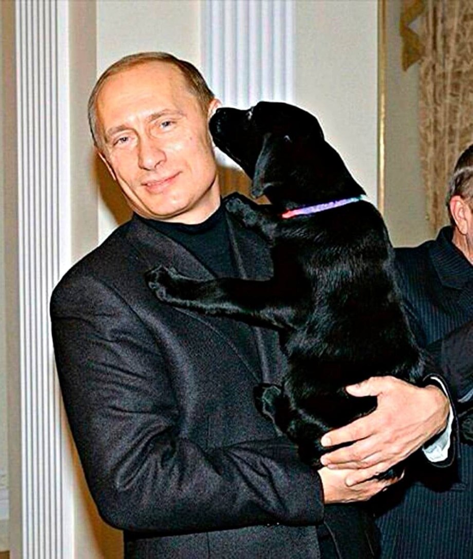 Лабрадор собака Путина