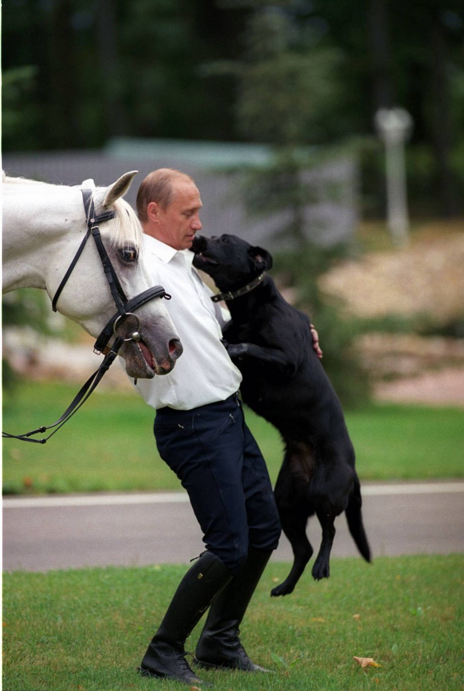Лабрадор президента Путина