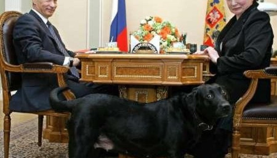 Конни собака президента