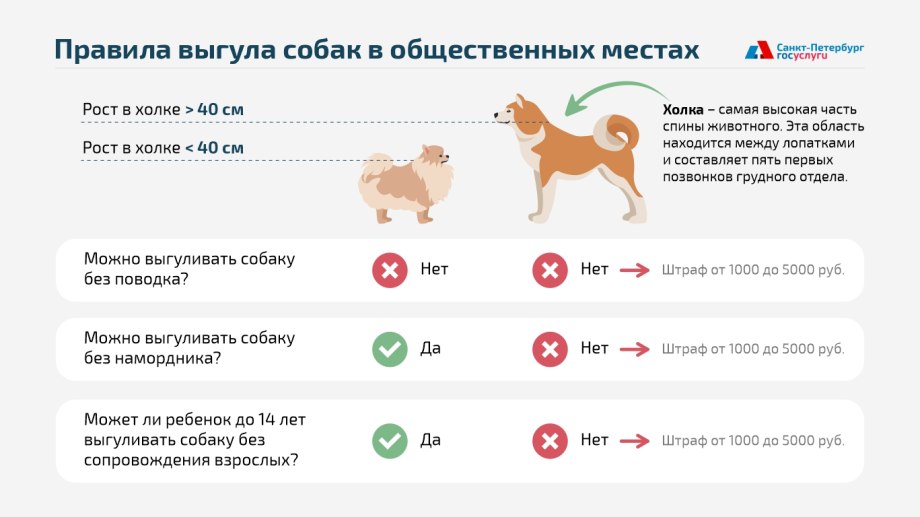 Вакцинация щенков