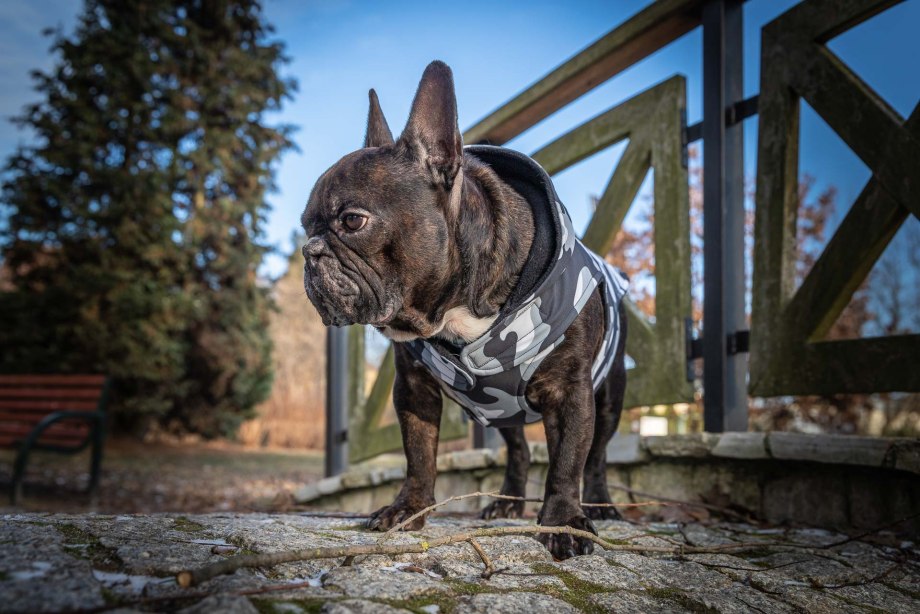 Намордник для собак Trixie "Muzzle Flex"