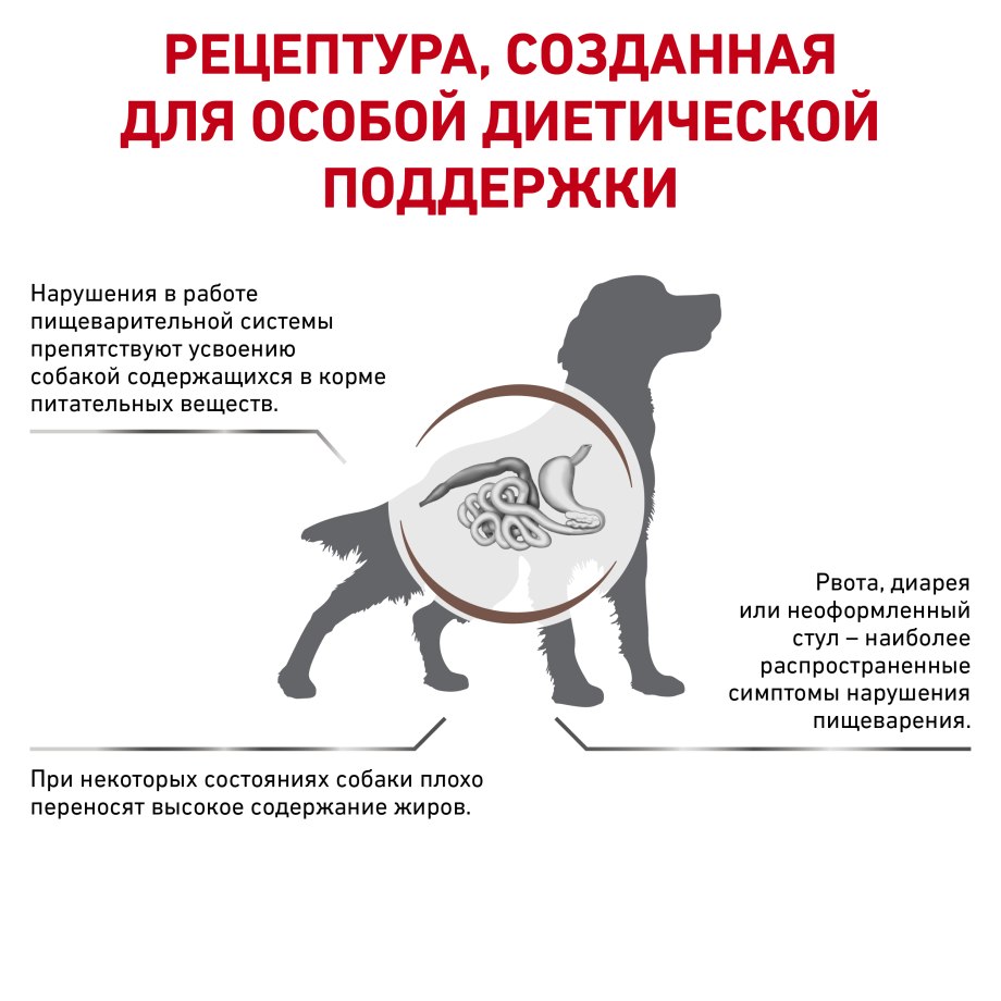 Пурина гастро Интестинал для кошек