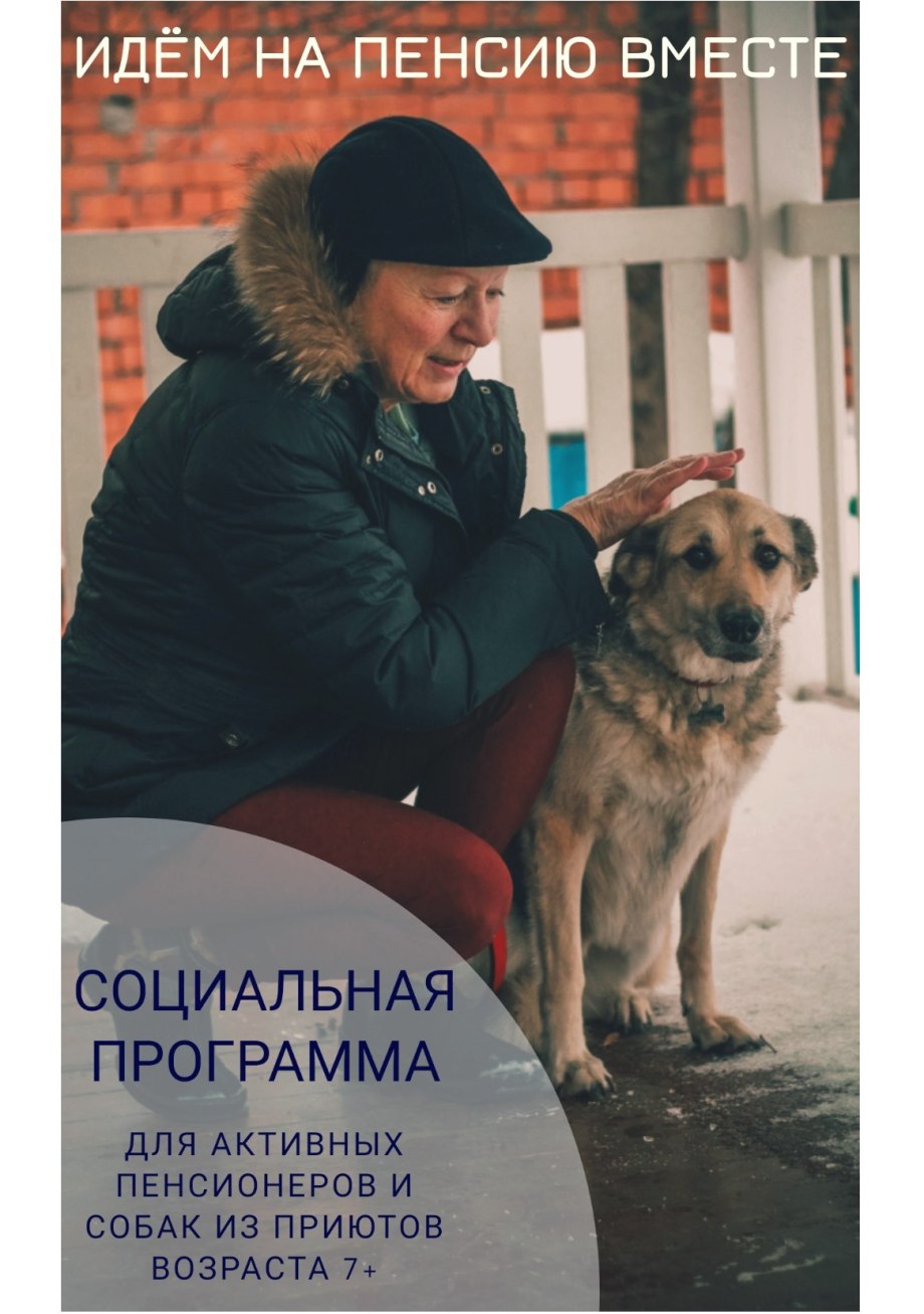 Хозяин собаки