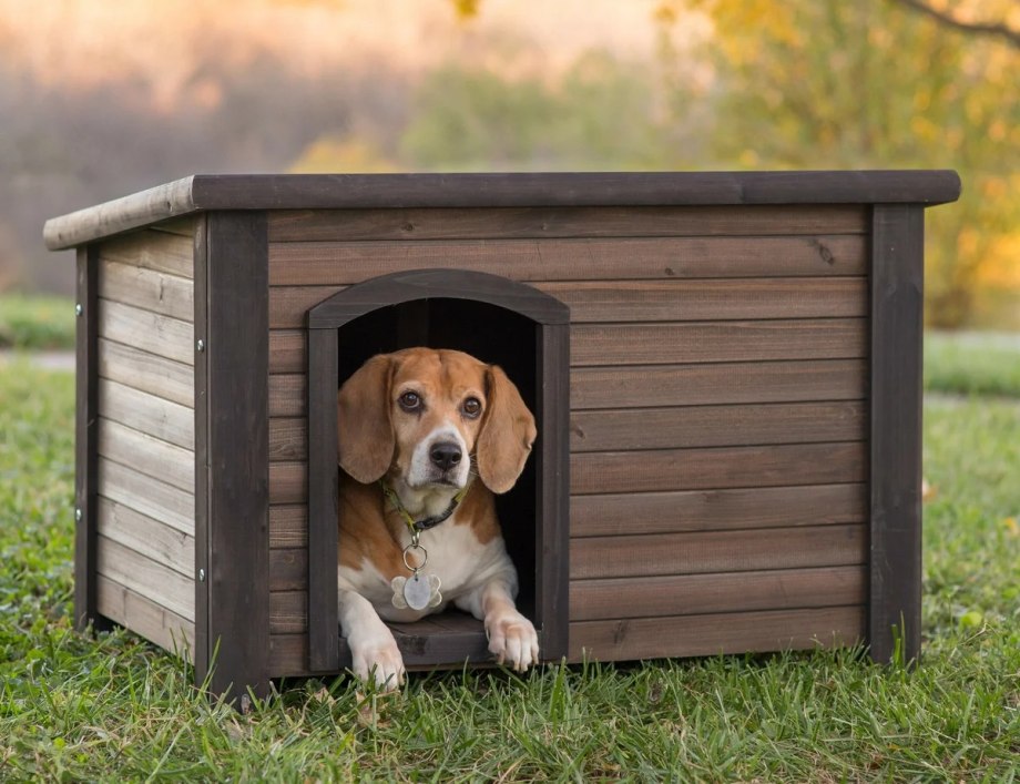 Keter Dog House