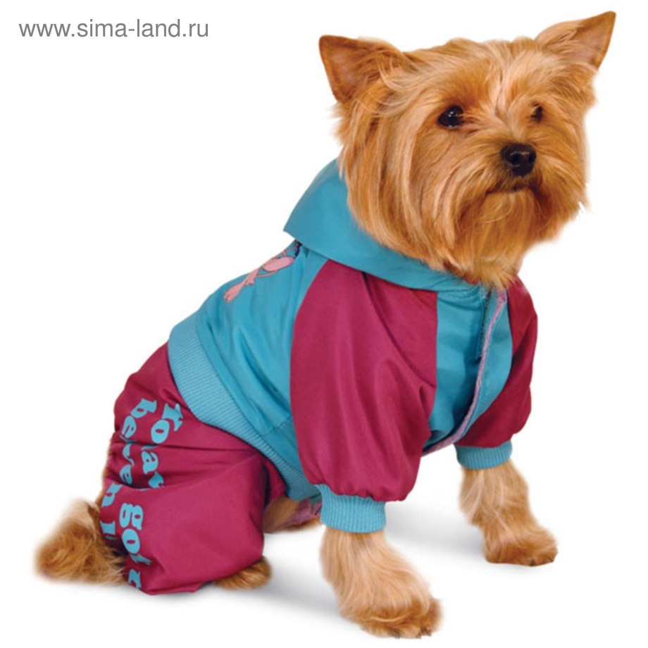 Triol Disney комбинезон для собак