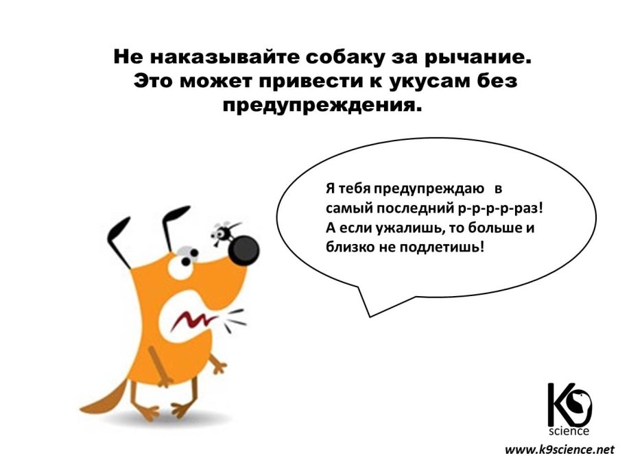 Как наказать собаку
