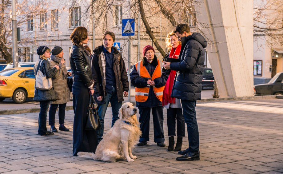Бейли фильм про собаку