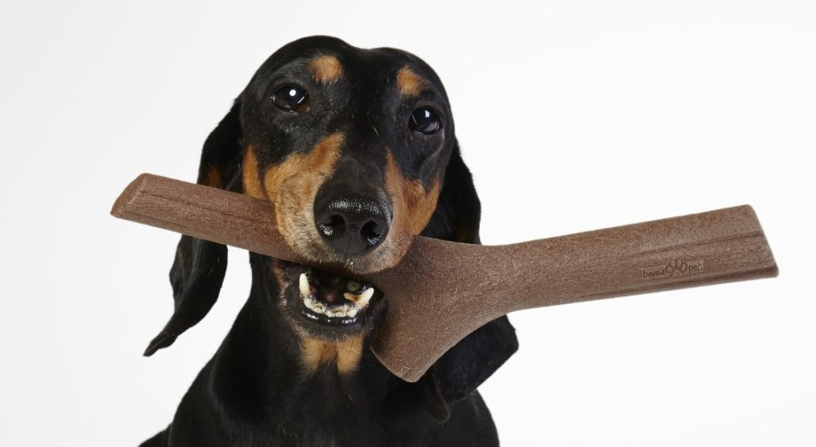 Bama Pet игрушка для собак палочка tutto