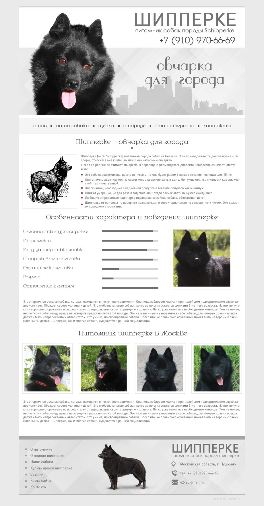 Бельгийский шипперке