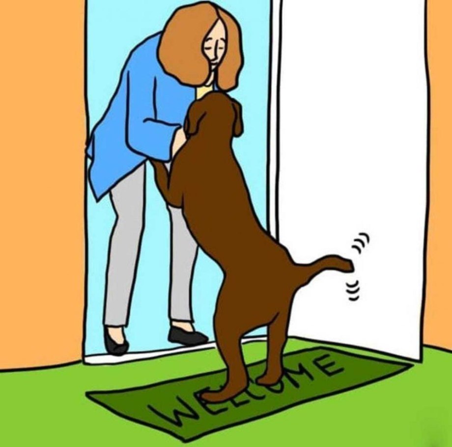 Почему собака постоянно лижет хозяина. Собака встречает. Собака с хозяиным рисунок. Собака встречает хозяина дома. Человек встречает собаку.