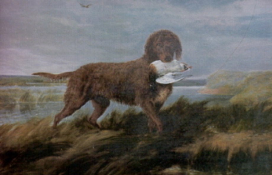 Лев ретро