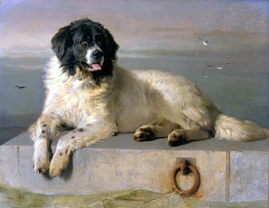Эдвин Генри Ландсир художник