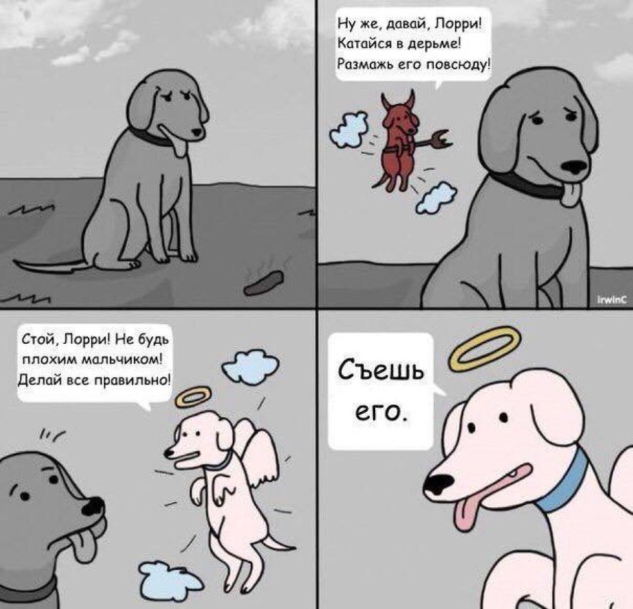 Собака копается в мусоре