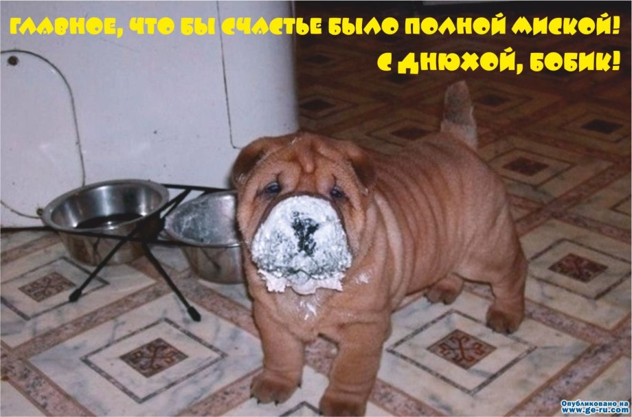 Никогда не глотайте жвачку