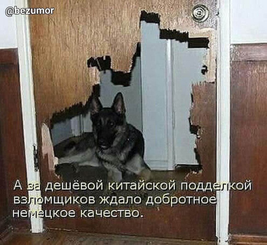 Дверь для собаки