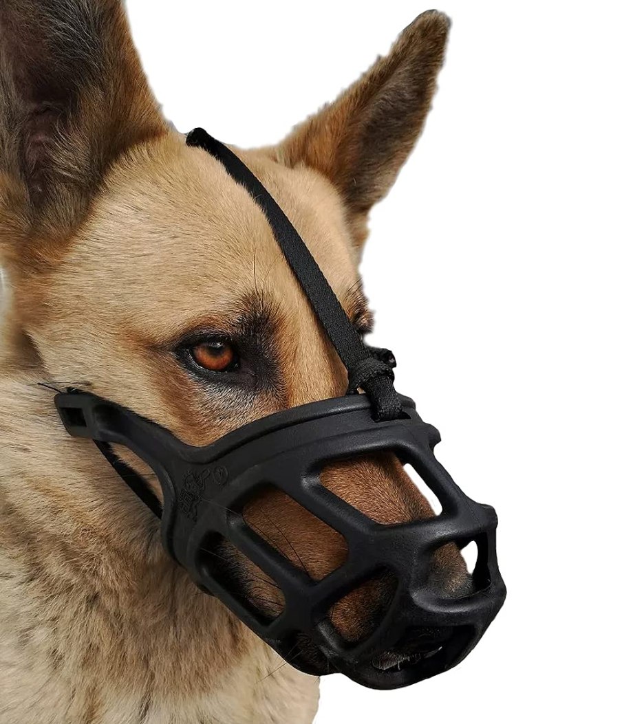 Dog Muzzle