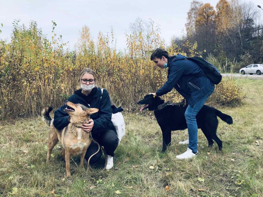 Себоина собака с человеком