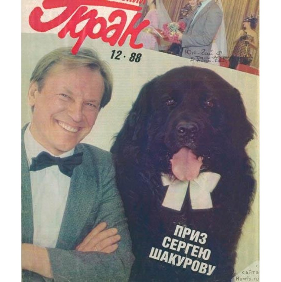 Ютгай ньюфаундленд из фильма