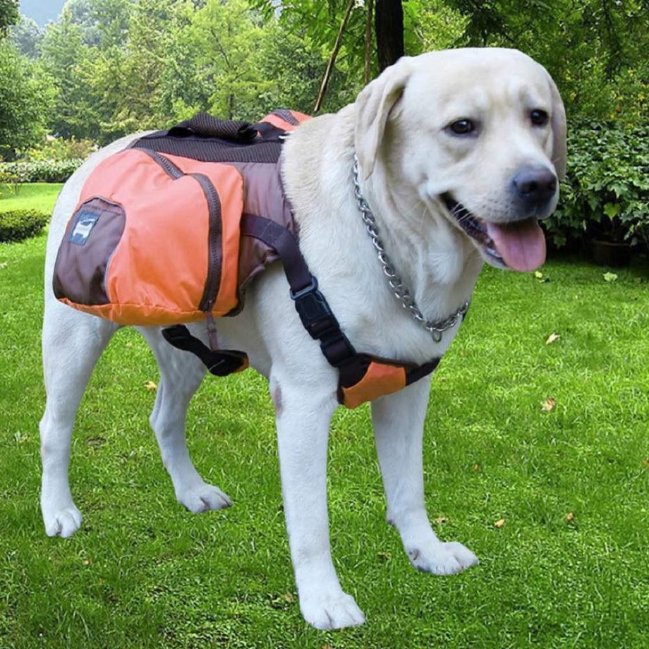 Собачья переноска DOGLEMI