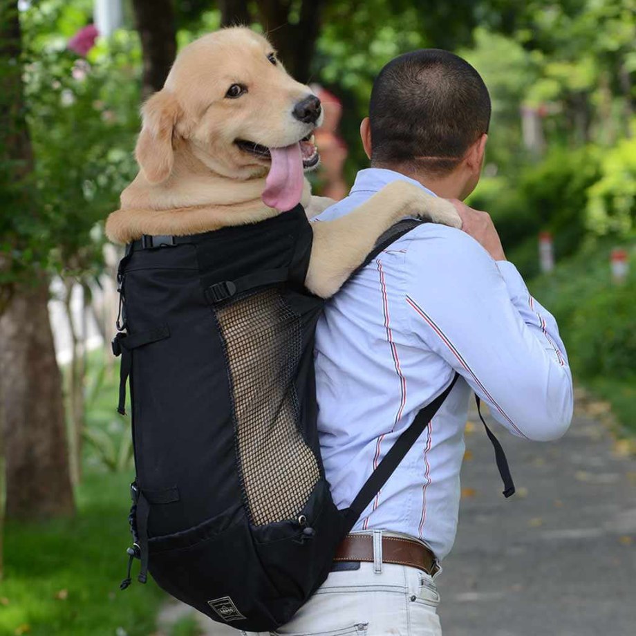 Рюкзак переноска Carrier Dog
