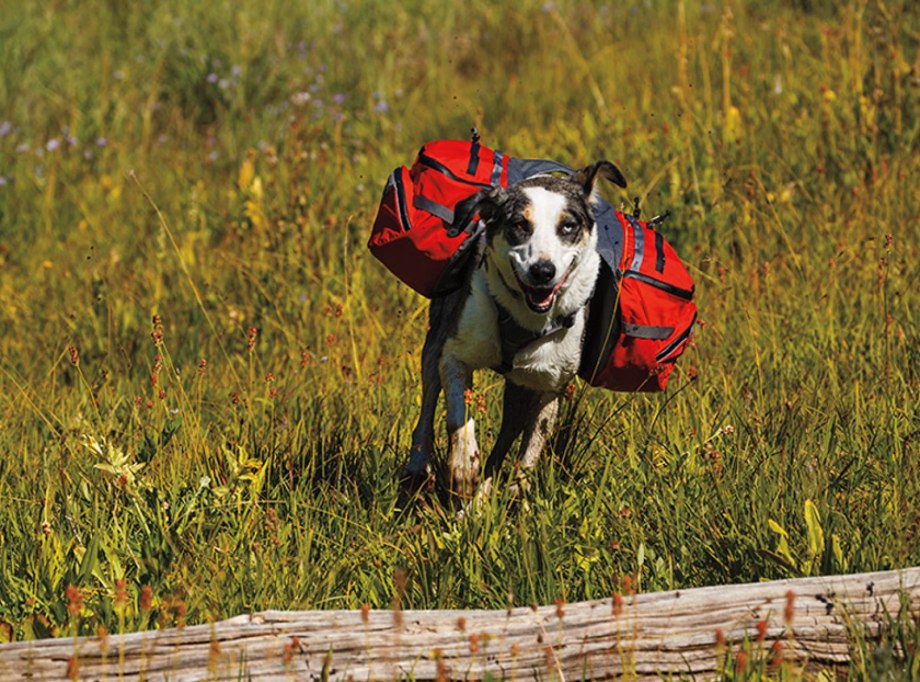 Ruffwear Palisades