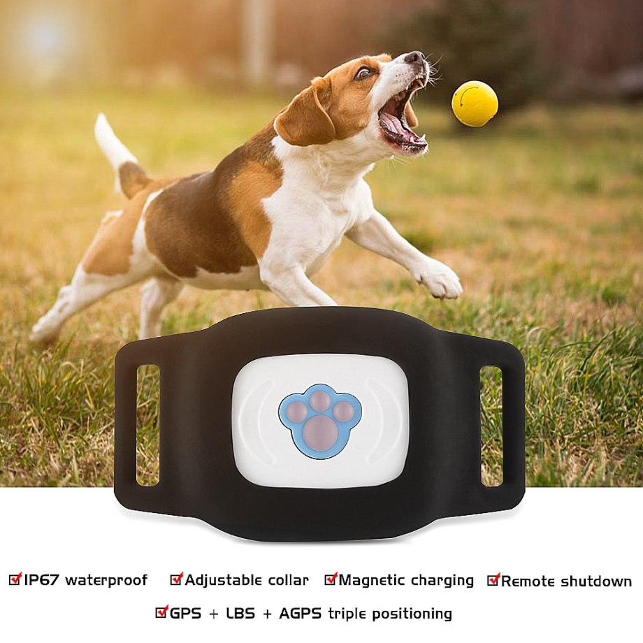 Ошейник Pet GPS-трекер