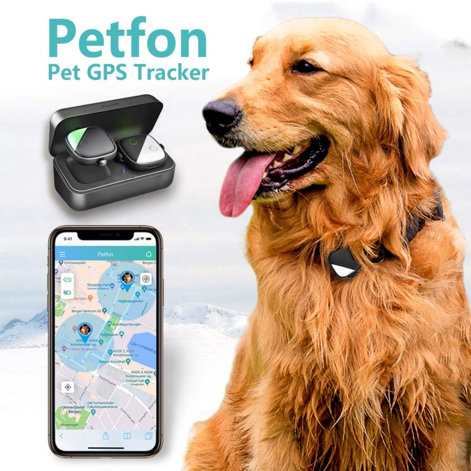 GPS трекер для собак z8