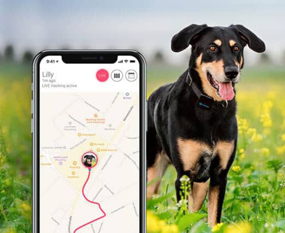GPS трекер tk-909 для животных