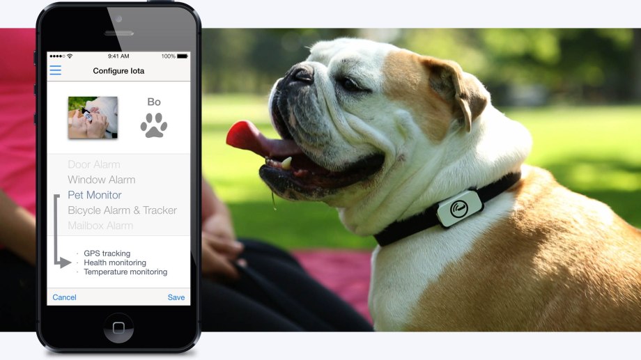 Keep track of your Pets' Health