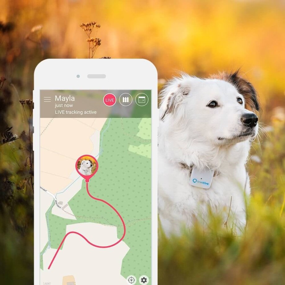 Tractive GPS Dog приложение