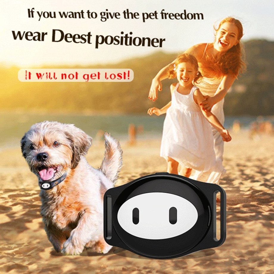Рука ИС Pet the