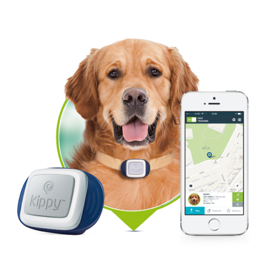 Ошейник Pet GPS-трекер. GPS трекер для собак. GPS трекер для собак jv3. Ошейник с GPS трекером.