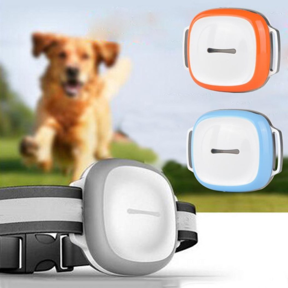 Is your Pet Smart?