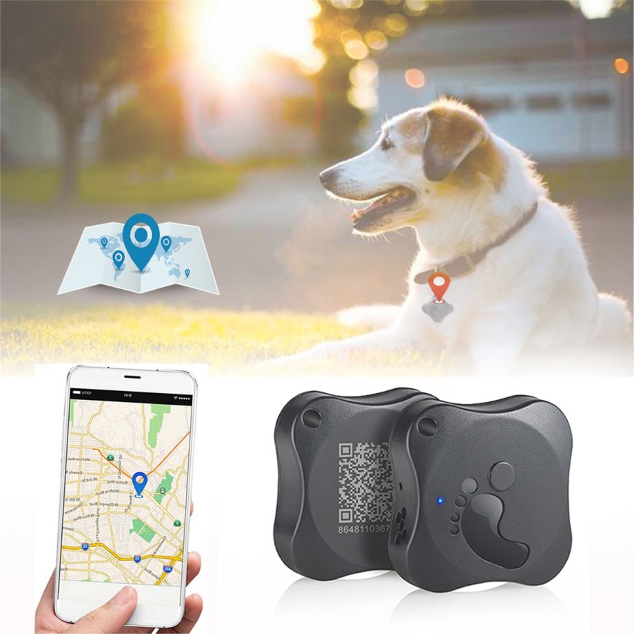 GPS Dog Collar no monthly fee