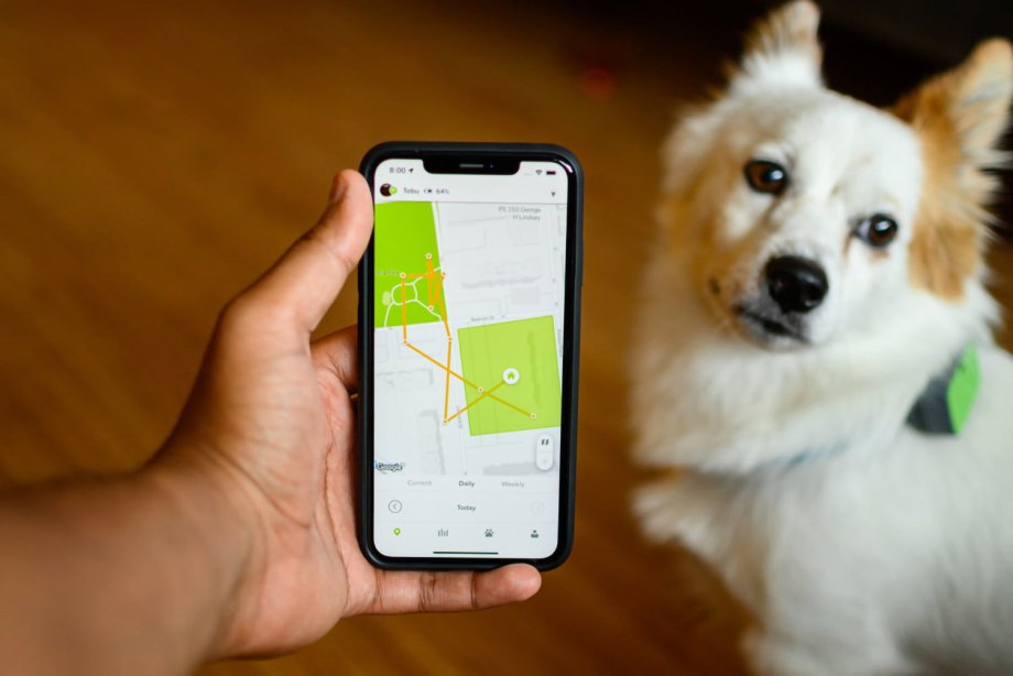 Tractive GPS Dog отзывы