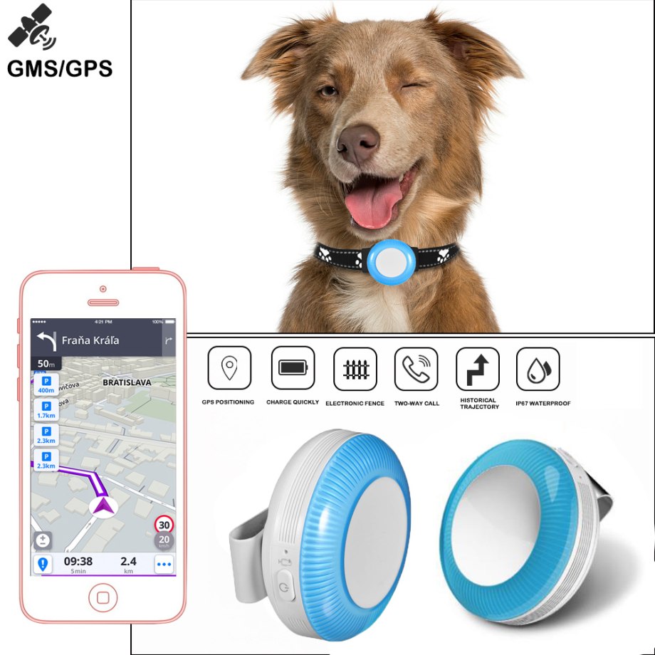 Pet GPS Tracker приложение