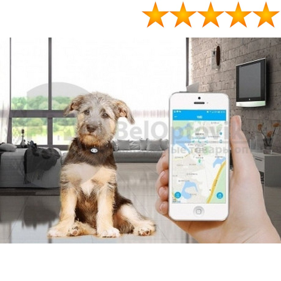 Электронный ошейник трекер GPS tk Star