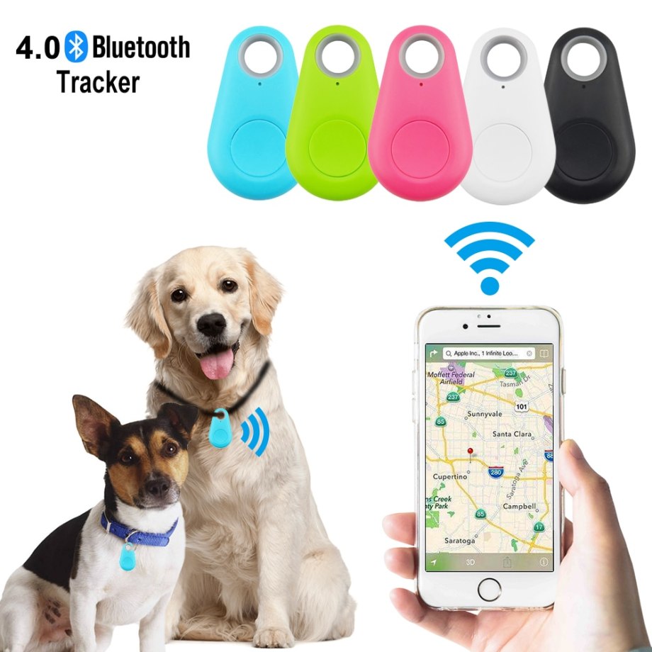 Do they have GPS Chips for Dogs