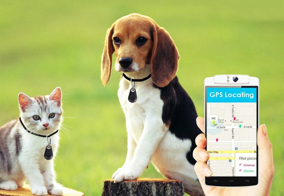 Whistle go explore Health & location Tracker шейник